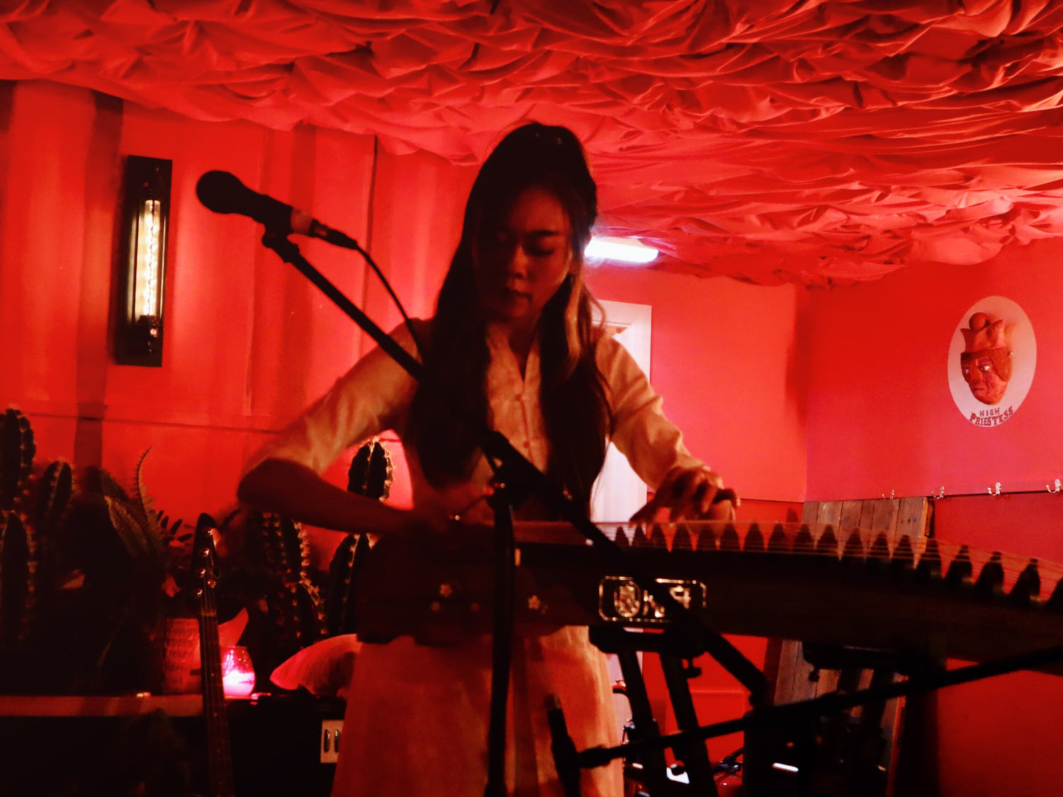 Top guzheng player Qing Du, Guzheng performer in London, Guzheng Soloist, London Guzheng concert, Chinese New Year, 英国民乐演奏, 英国古筝艺术家, 伦敦古筝演出, 海外春节古筝表演