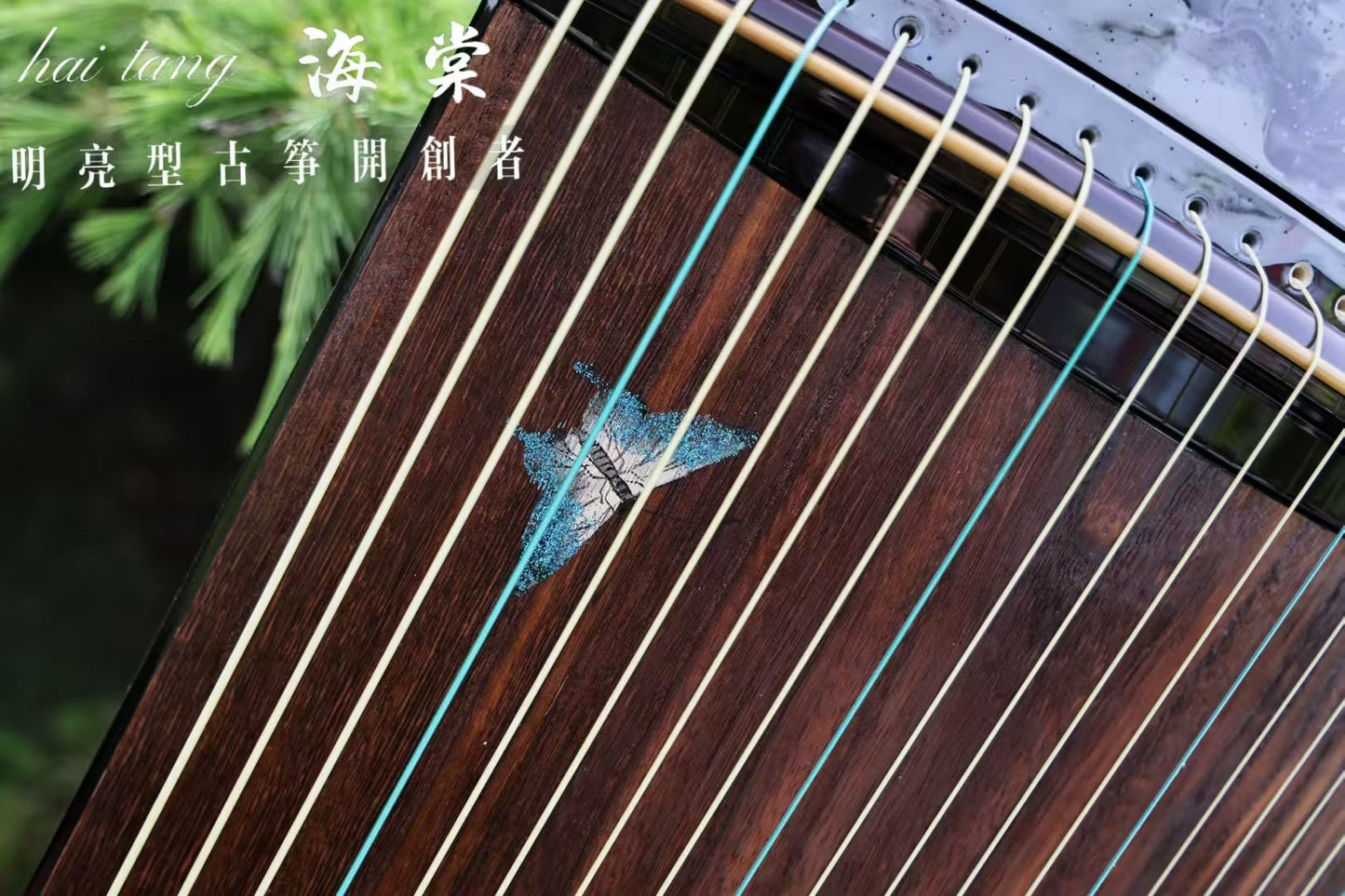 buy guzheng, affordable guzheng, small guzheng, 135cm guzheng, Haitang guzheng, high quality guzheng, premium guzheng, guzheng with free shipping, 小古筝,1米古筝,1.35米古筝,便携古筝,海棠古筝,海外买古筝,高性价比古筝