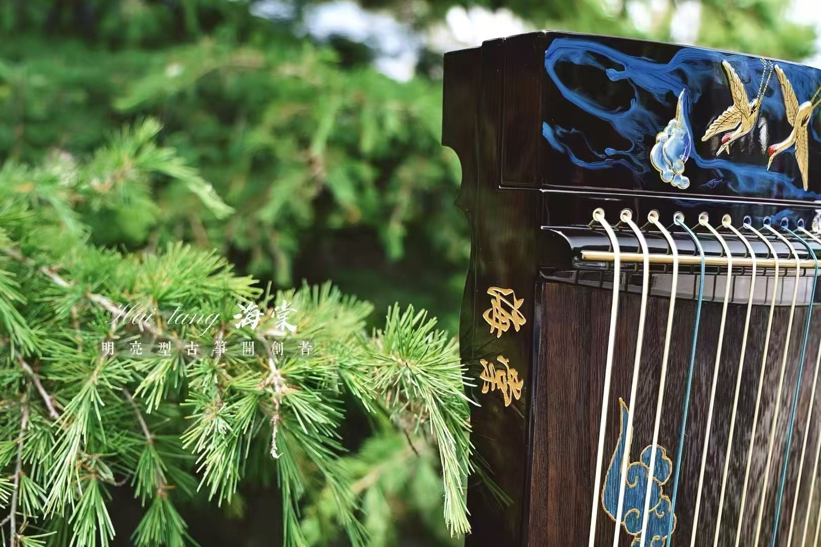 buy guzheng, affordable guzheng, small guzheng, 135cm guzheng, Haitang guzheng, high quality guzheng, premium guzheng, guzheng with free shipping, 小古筝,1米古筝,1.35米古筝,便携古筝,海棠古筝,海外买古筝,高性价比古筝