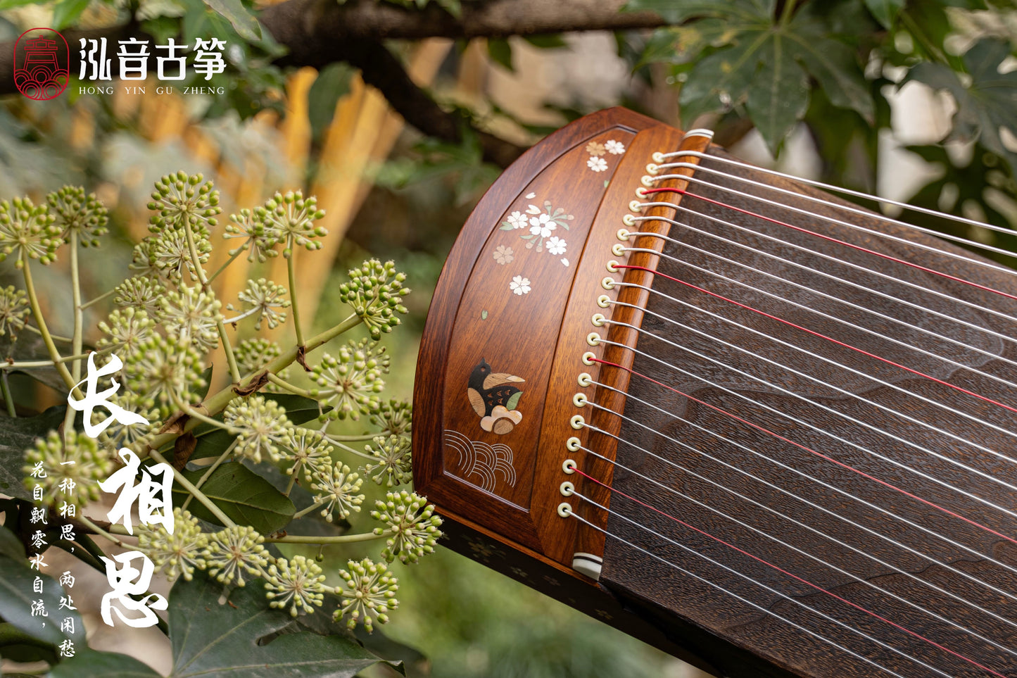 Chinese music store - premium travel-size guzheng, guzheng lessons near me, 高性价比便携古筝, 小古筝, 买古筝, 学古筝, 古筝老师