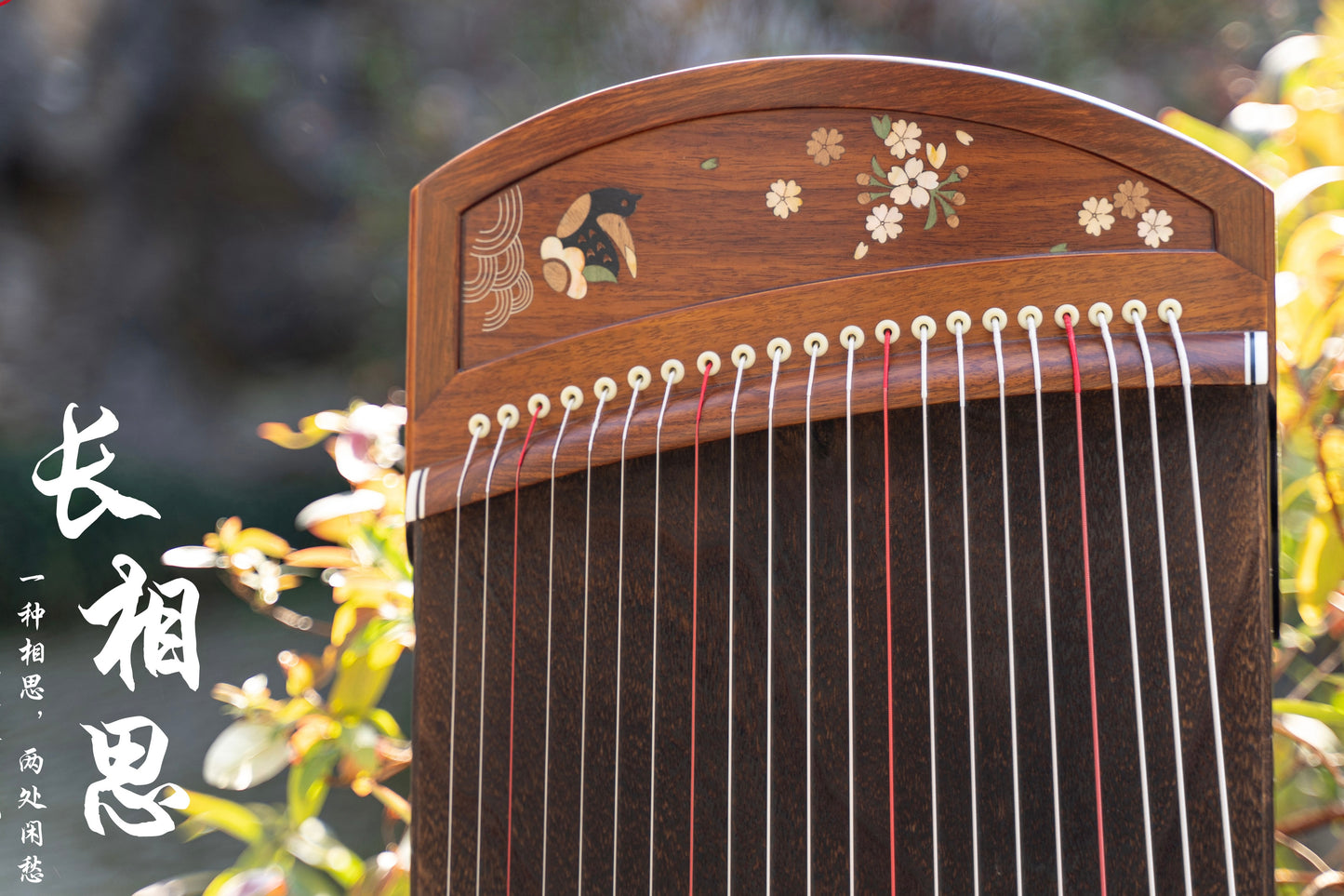 Chinese music store - premium travel-size guzheng carefully-picked by Guzheng expert Qing Du, guzheng lessons near me, 高性价比便携古筝, 小古筝, 买古筝, 学古筝, 古筝老师