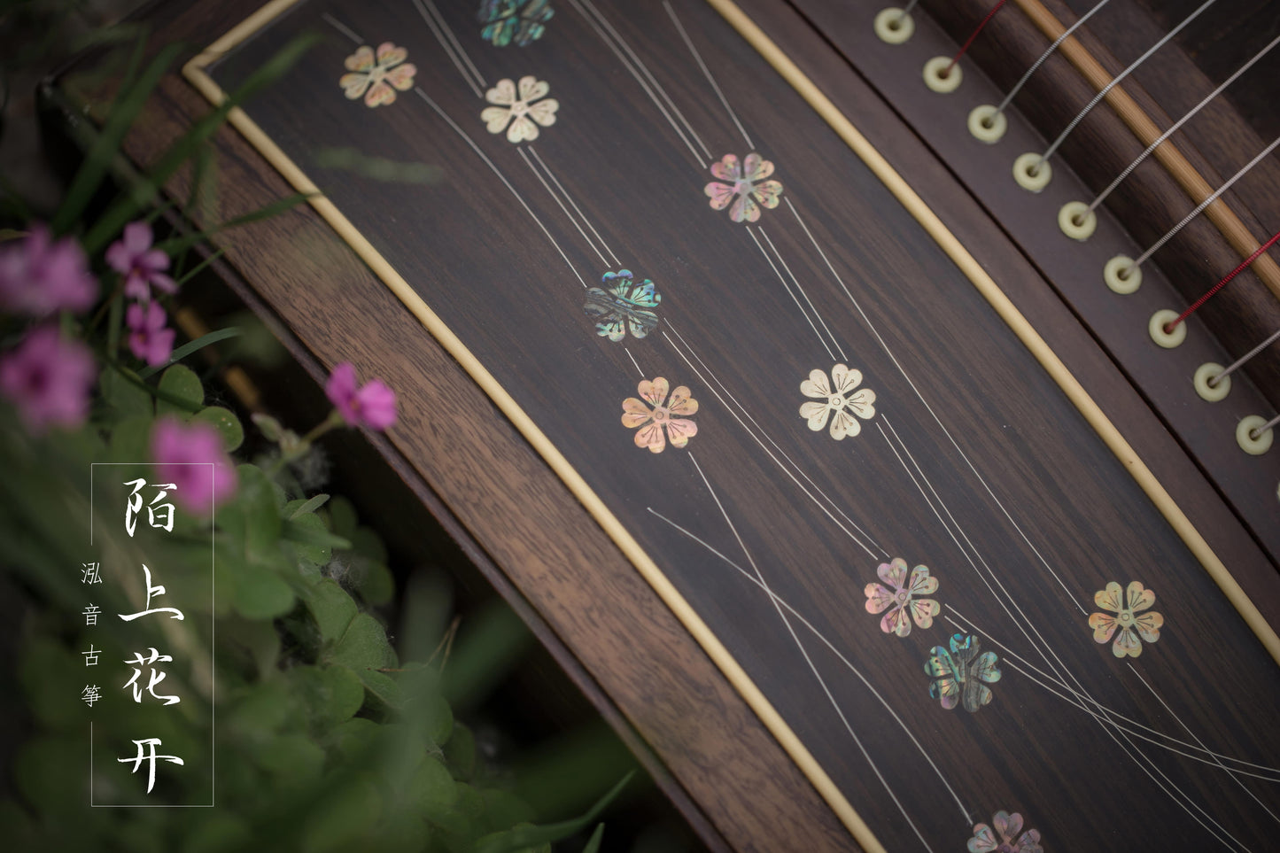 Chinese music store - premium 163cm guzheng, guzheng lessons near me, guzheng for sale worldwide,高性价比古筝, 标准大古筝, 买古筝, 学古筝, 古筝老师