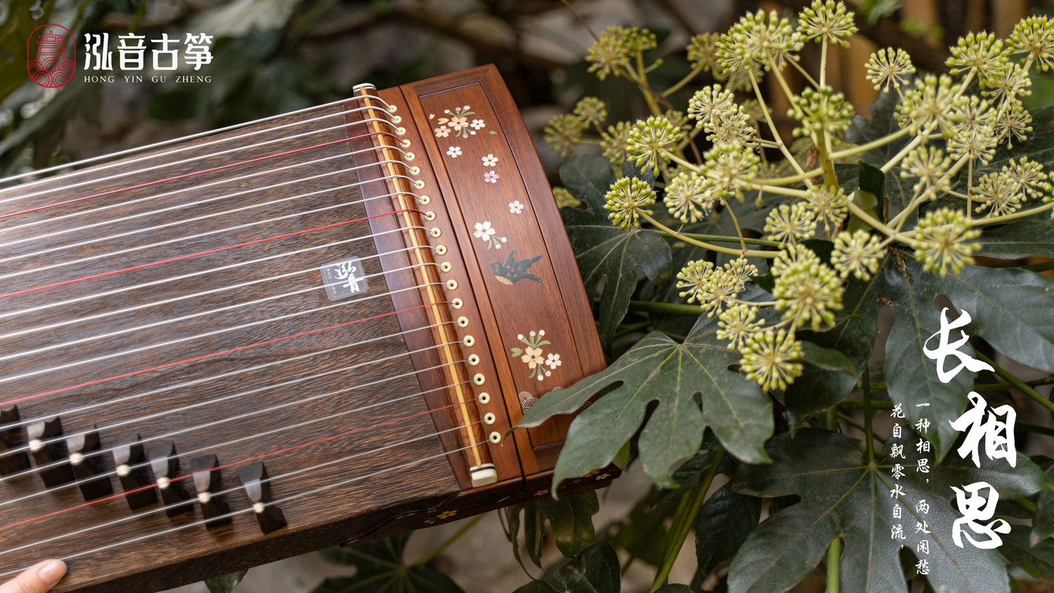 buy guzheng, small guzheng, 100cm - 135cm guzheng, branded guzheng, quality guzheng, premium guzheng, 小古筝，1米古筝，1.2米古筝，1.3米古筝，便携古筝，买古筝，海外买古筝，高性价比古筝｜ Guzheng World 古筝世界