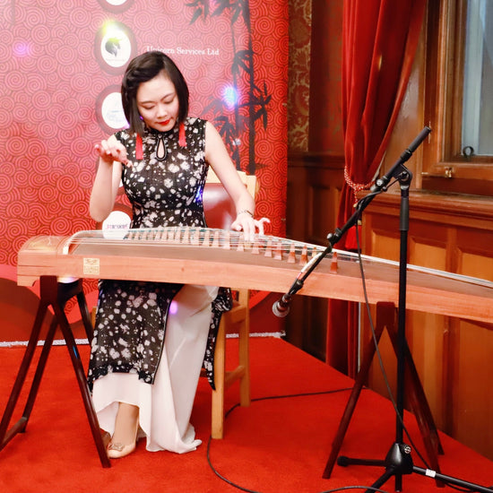 Top guzheng player Qing Du | Guzheng performance | Buy Guzheng | 古筝表演 ｜ 海外买古筝 ｜ 古筝世界