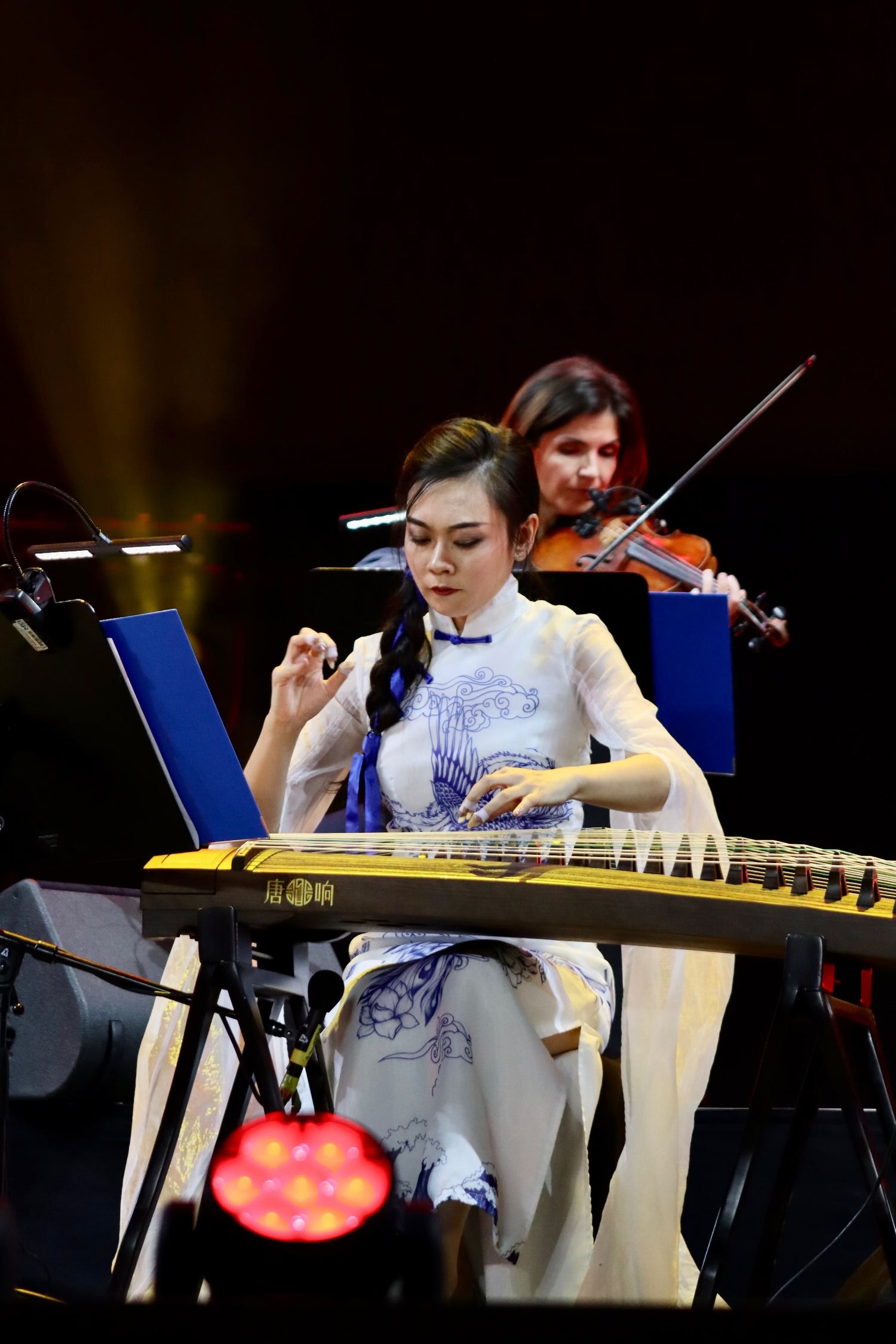 Top guzheng player Qing Du | Guzheng performance | Buy Guzheng | 古筝表演 ｜ 海外买古筝 ｜ 古筝世界