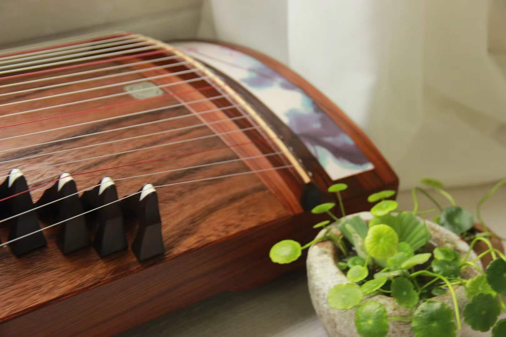 Best guzheng brands, buy guzheng with free shipping, affordable guzheng, small guzheng, 100cm-135cm guzheng, top rated guzheng, quality guzheng, premium guzheng, 小古筝，135古筝，便携古筝，高品质古筝, 海外买古筝，高性价比古筝