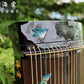 buy guzheng, affordable guzheng, small guzheng, 135cm guzheng, Haitang guzheng, high quality guzheng, premium guzheng, guzheng with free shipping, 小古筝，1米古筝，1.35米古筝，便携古筝，海棠古筝，海外买古筝，高性价比古筝