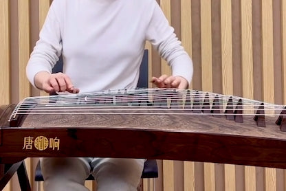 buy guzheng, 163cm guzheng, tangxiang guzheng, high quality guzheng, premium guzheng, concert guzheng, guzheng with free shipping, 163古筝，高品质古筝，挖筝， 唐响古筝，海外买古筝，高性价比古筝