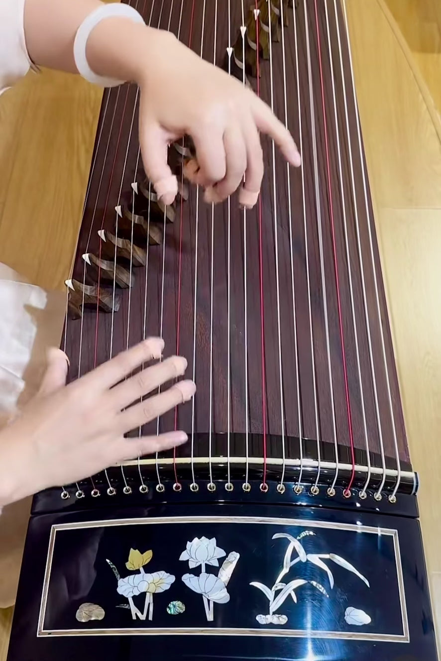Series 6 | 690A Zhuque 