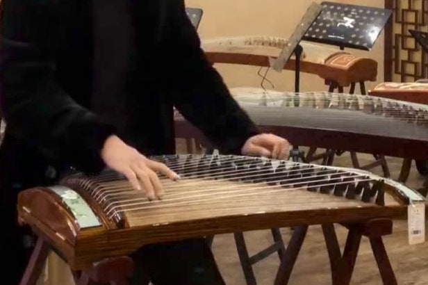 Sanhao 39 in Zebrawood Carved Guzheng 