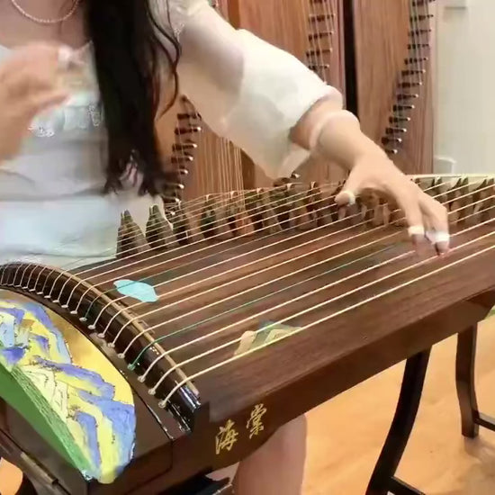buy guzheng, affordable guzheng, small guzheng, 135cm guzheng, Haitang guzheng, high quality guzheng, premium guzheng, guzheng with free shipping, 小古筝，1米古筝，1.35米古筝，便携古筝，海棠古筝，海外买古筝，高性价比古筝