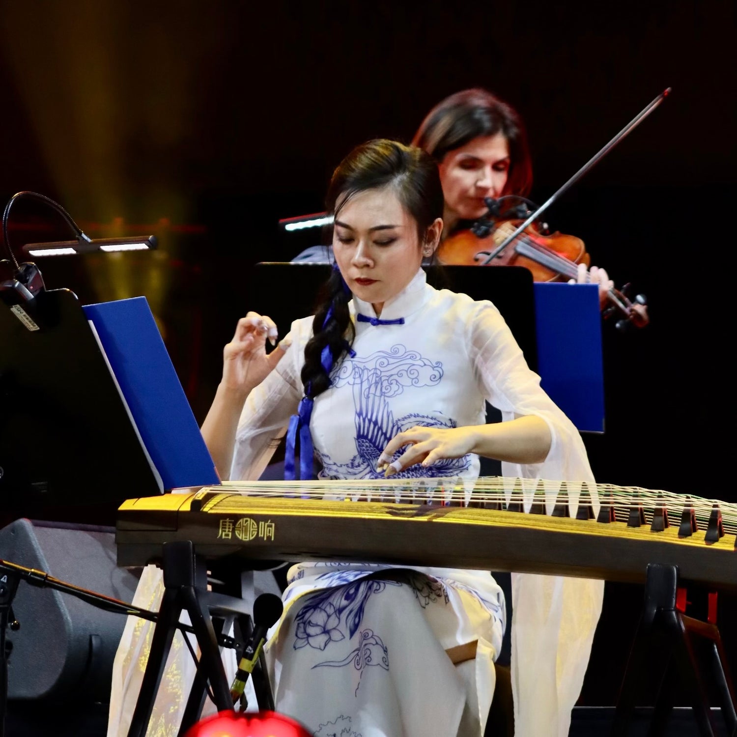 Qing Du, founder of Guzheng World, combining nearly two decades of performing, teaching and guzheng expertise to help players worldwide learn, explore and choose the right instrument.
