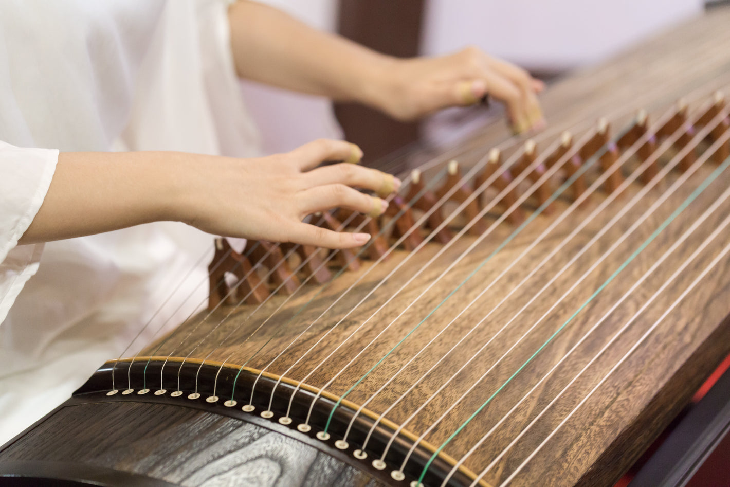 Guzheng Lessons Group Lessons Online Lessons 全球古筝课程