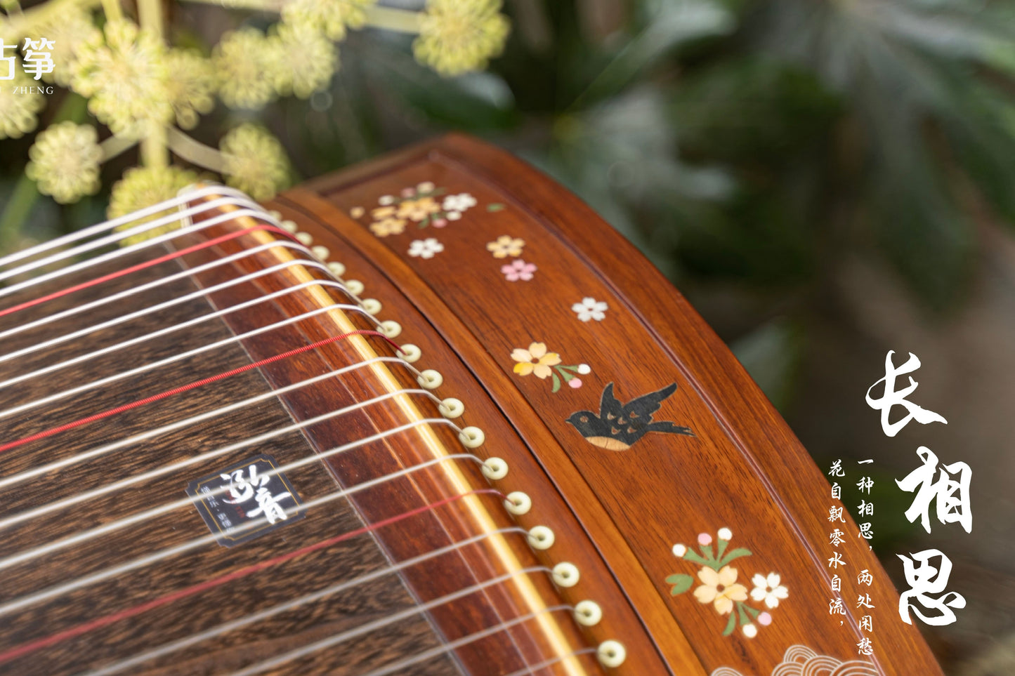 Chinese music store - premium travel-size guzheng carefully-picked by Guzheng expert Qing Du, guzheng lessons near me, 高性价比便携古筝, 小古筝, 买古筝, 学古筝, 古筝老师