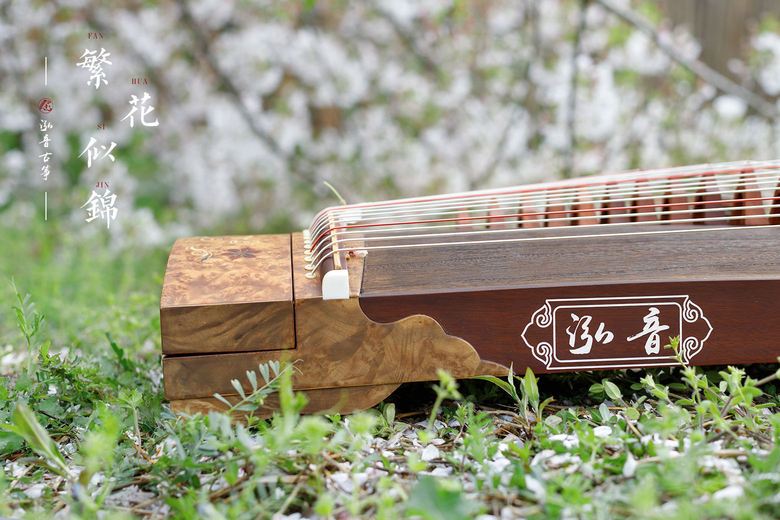 Chinese music store - premium travel-size guzheng carefully-picked by Guzheng expert Qing Du, guzheng lessons near me, 高性价比便携古筝, 小古筝, 买古筝, 学古筝, 古筝老师