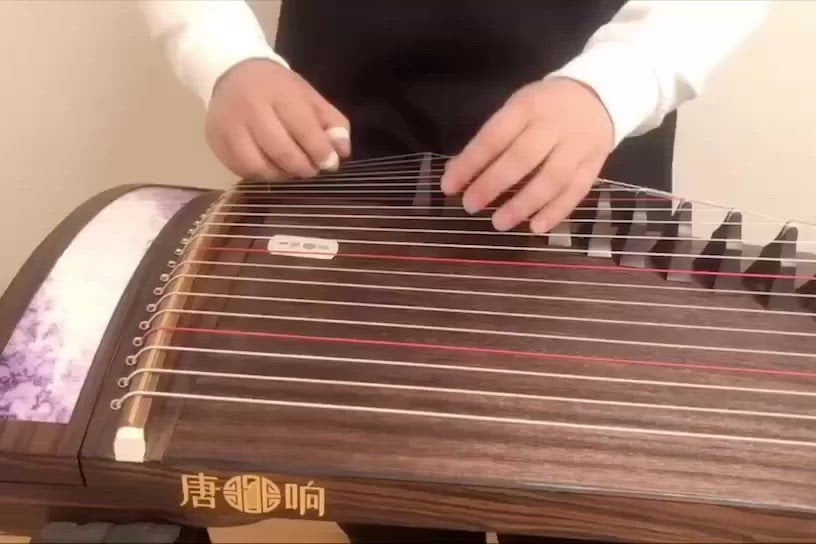 recommended premium 135cm travel-size guzheng |Tangxiang 53in Elite Indian Rosewood Guzheng “chenxing” 唐响135cm阔叶黄檀古筝“晨星” 