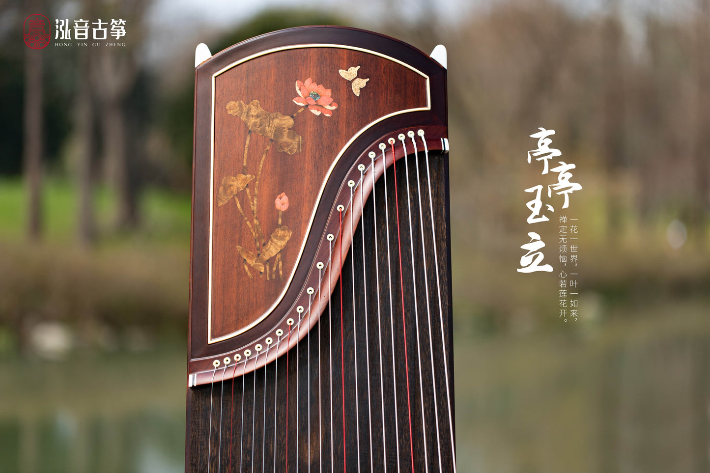 Chinese music store - premium 163cm guzheng carefully-picked by Guzheng expert Qing Du, guzheng lessons near me, guzheng for sale worldwide, 高性价比古筝, 标准大古筝, 买古筝, 学古筝, 古筝老师