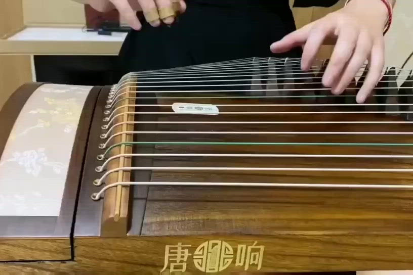 Black Sandalwood Guzheng Jin Yun Brand Model 