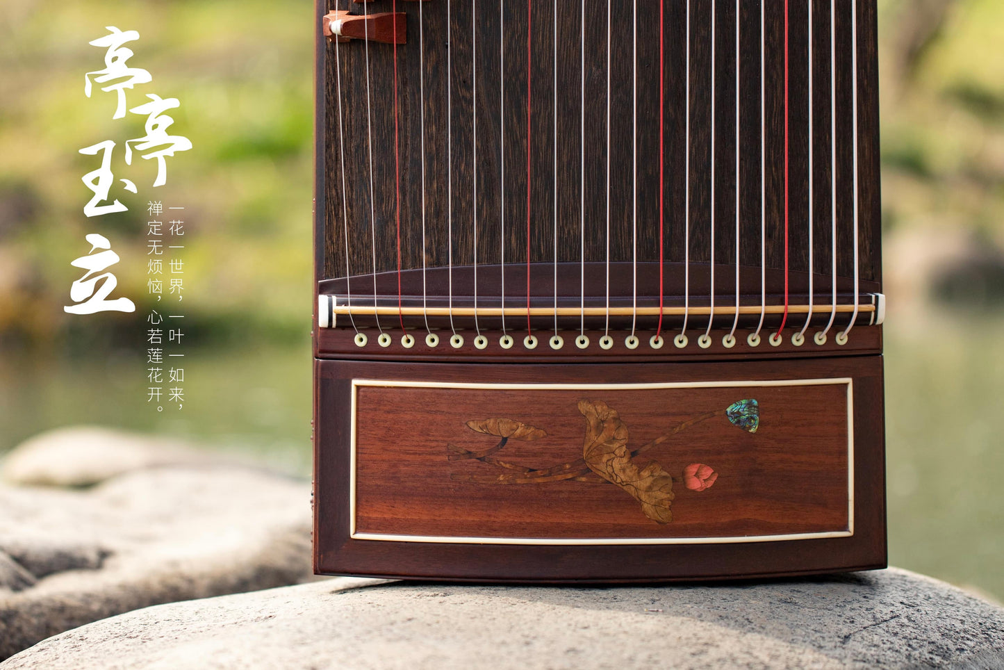 Chinese music store - premium 163cm guzheng carefully-picked by Guzheng expert Qing Du, guzheng lessons near me, guzheng for sale worldwide, 高性价比古筝, 标准大古筝, 买古筝, 学古筝, 古筝老师