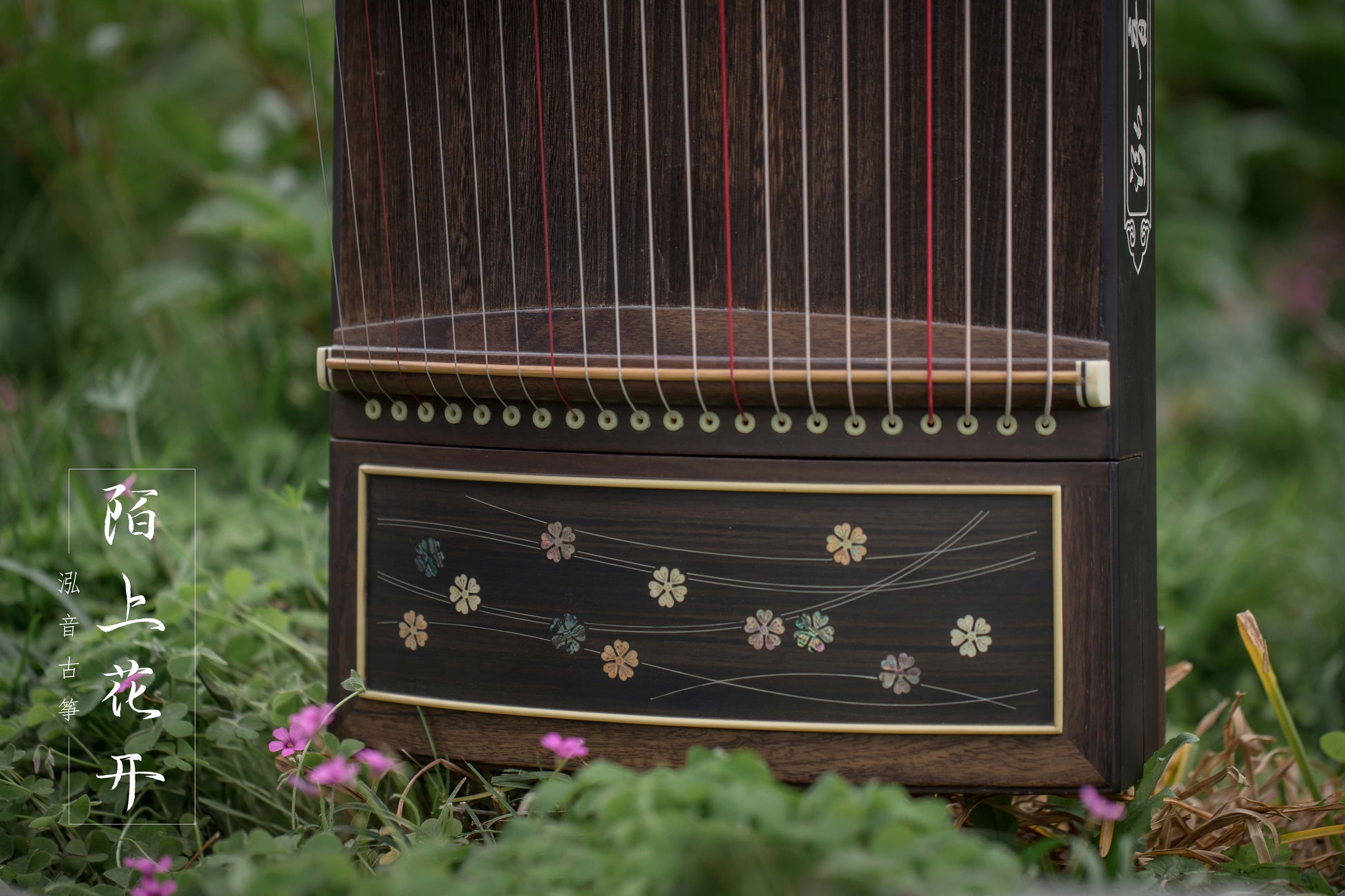 Chinese music store - premium 163cm guzheng carefully-picked by Guzheng expert Qing Du, guzheng lessons near me, guzheng for sale worldwide, 高性价比古筝, 标准大古筝, 买古筝, 学古筝, 古筝老师