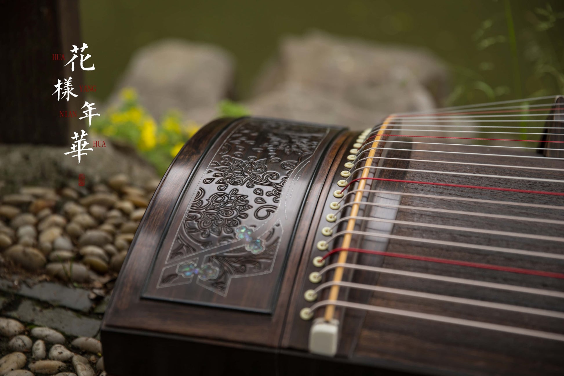 Chinese music store - premium 163cm guzheng carefully-picked by Guzheng expert Qing Du, guzheng lessons near me, guzheng for sale worldwide, 高性价比古筝, 标准大古筝, 买古筝, 学古筝, 古筝老师