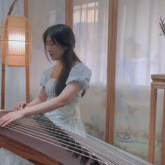 Recommended premium 163cm full-size guzheng | Tangxiang 63in Indian Rosewood Guzheng “Ru Shi” 唐响163cm阔叶黄檀古筝“如是” 