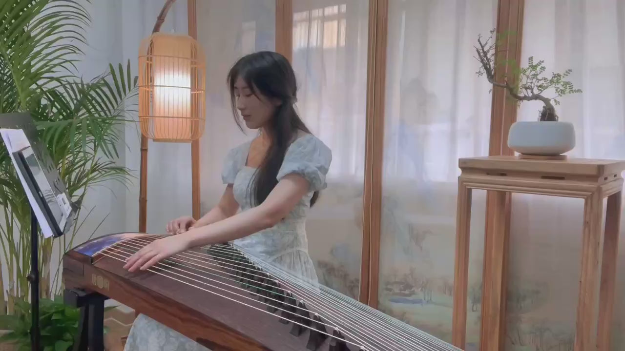 Recommended premium 163cm full-size guzheng | Tangxiang 63in Indian Rosewood Guzheng “Ru Shi” 唐响163cm阔叶黄檀古筝“如是” 